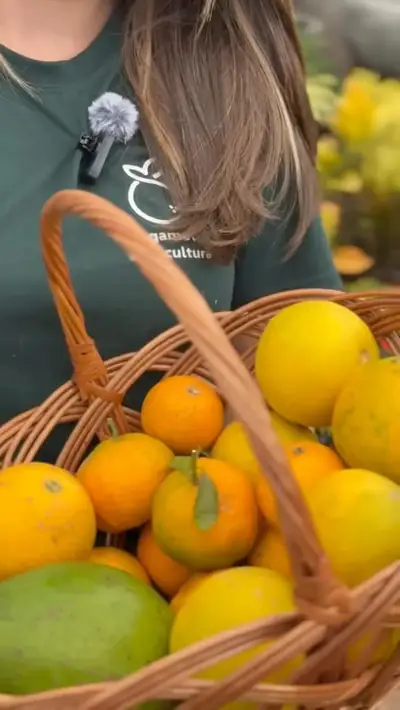 Cesto cheio de laranjas e manga