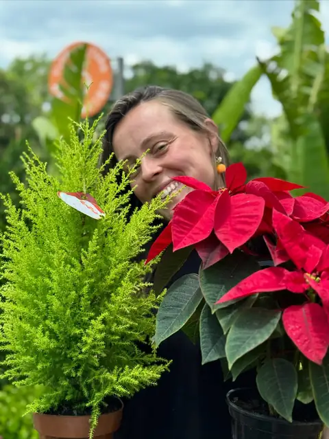 Poinsétia vermelha e pinheirinho verde-limão