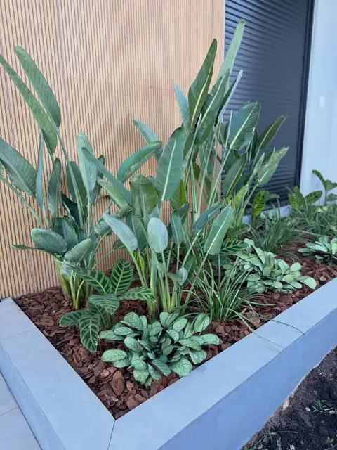Floreira de casca com calatheas e estrelítzia