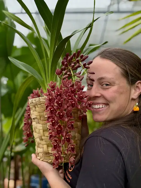 Dona sorrindo ao lado de cymbidium vinho em cachepô de palha
