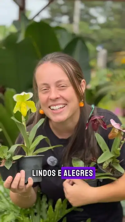 Sapatinho amarelo e vinho em vaso na mão